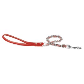 Chain and nylon dog leash - Record