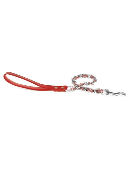 Chain and nylon dog leash - Record