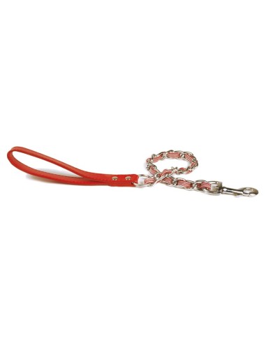 Chain and nylon dog leash - Record