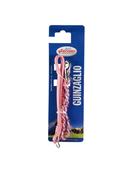 Chain and nylon dog leash - Record