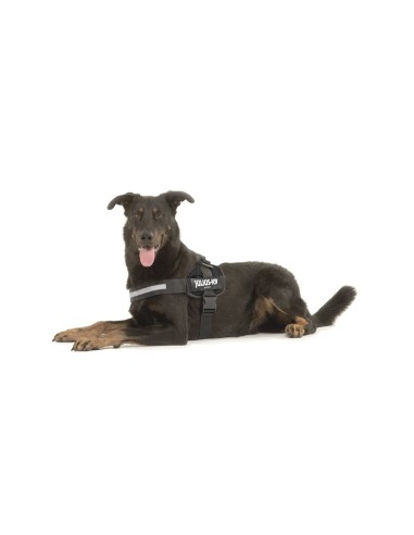 Pettorina IDC Powerharness Tg. 4