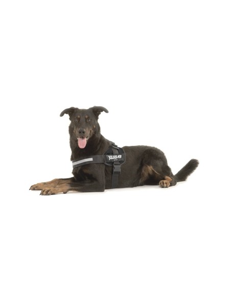 Pettorina IDC Powerharness Tg. 4