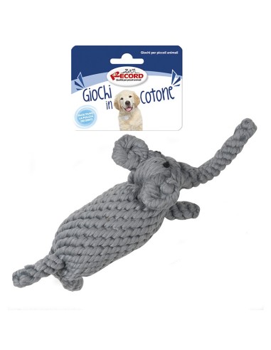 Cotton Friends line dog toy - Record