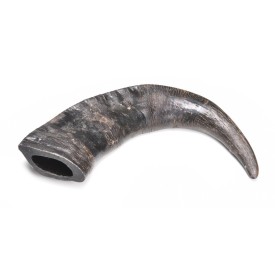Buffalo chew horns for dogs Anima Selvaggia - BestBone