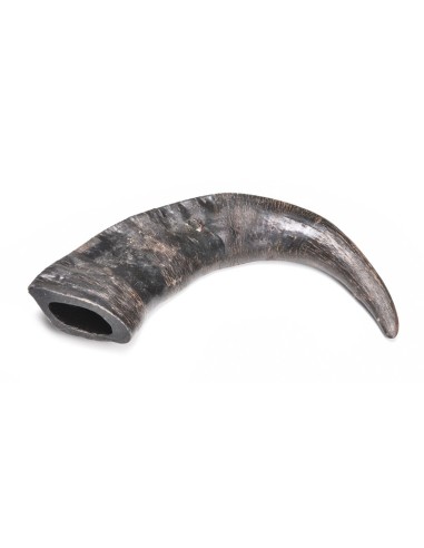 Buffalo chew horns for dogs Anima Selvaggia - BestBone