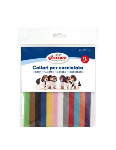 Set 12 litter collars - Record