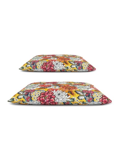 Set pet cushion Tokyo - Record