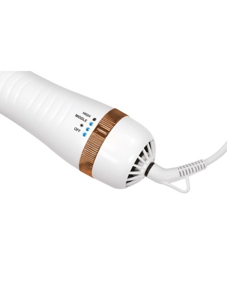 2 in1 pet grooming dryer - Record