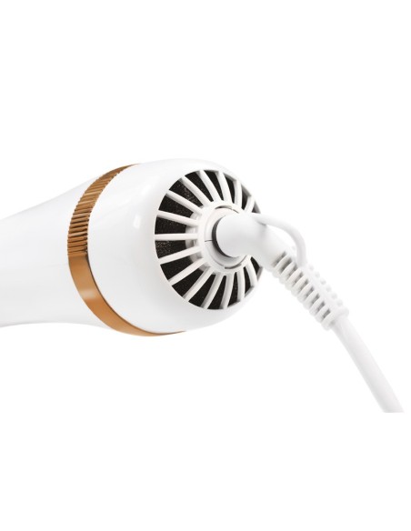 2 in1 pet grooming dryer - Record