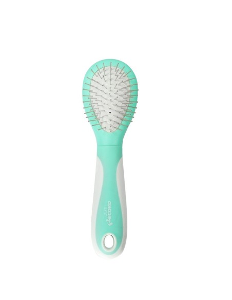 Double brush with carbon steel pins and bristles - Record