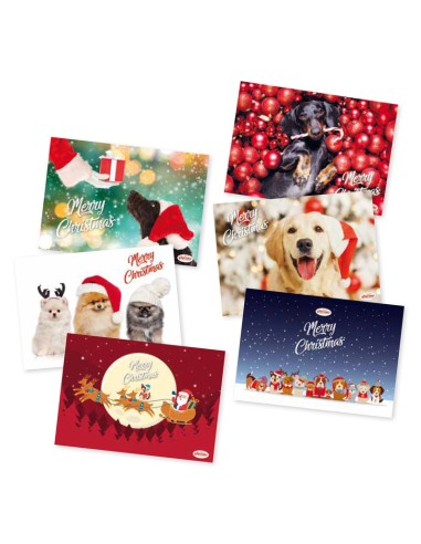 Christmas food mats for cats - Record