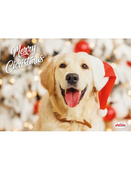 Christmas food mats for cats - Record
