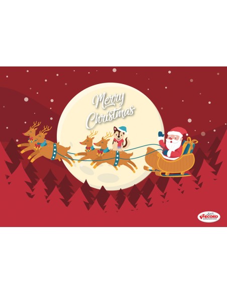 Christmas food mats for cats - Record