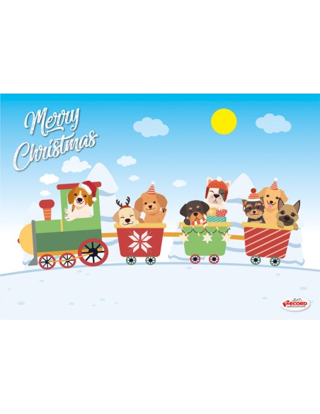 Christmas food mats for cats - Record
