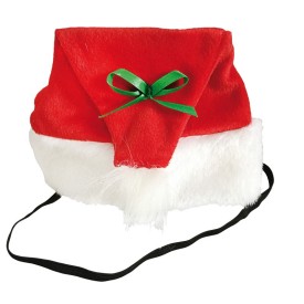 Santa Claus hat for dogs - Record