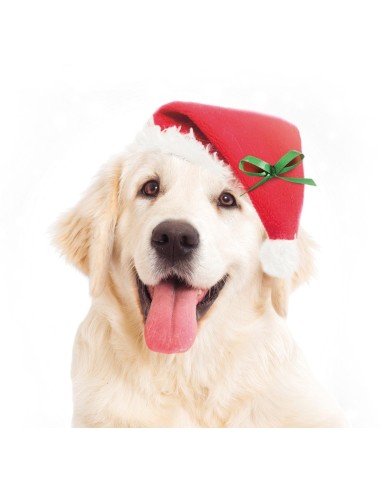 Cappello di Babbo Natale per cani - Record