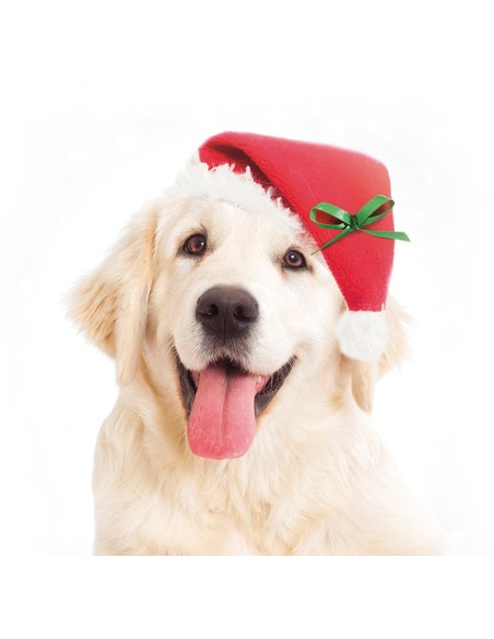 Cappello di Babbo Natale per cani - Record