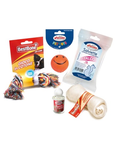 Scatola regalo natalizia per cani - BestBone