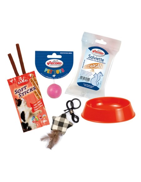 Christmas gift box for dogs - Cat&Rina