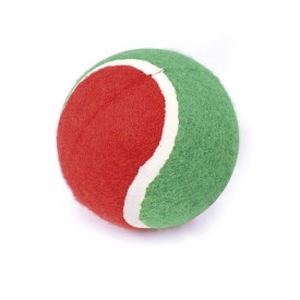 Christmas tennis ball for dogs - Record