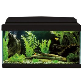 Acquario Challenger 57 litri nero - Acquafriend