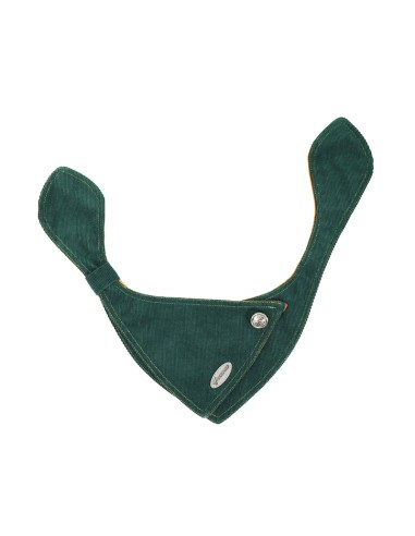 Heritage pet bandana - Record