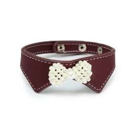 Gentleman collar for dogs and cats - Record