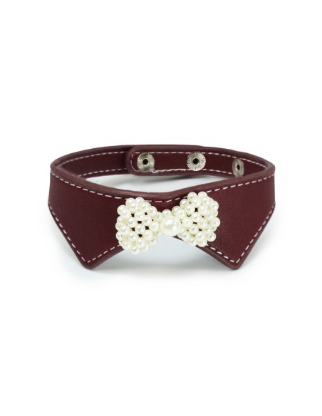 Gentleman collar for dogs and cats - Record