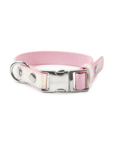 Synthetic leather dog collar with iridescent coating - Record