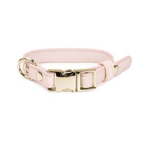 Synthetic leather dog collar with metal buckle - Record