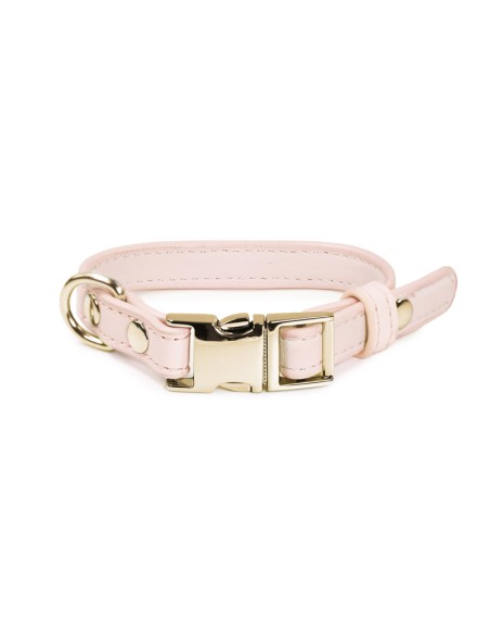 Synthetic leather dog collar with metal buckle - Record