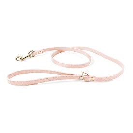 Synthetic Leather Dog Leash - Record