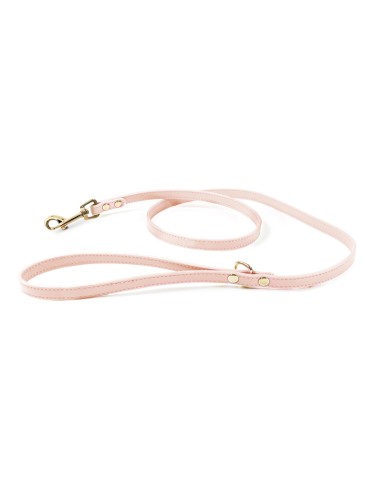 Synthetic Leather Dog Leash - Record