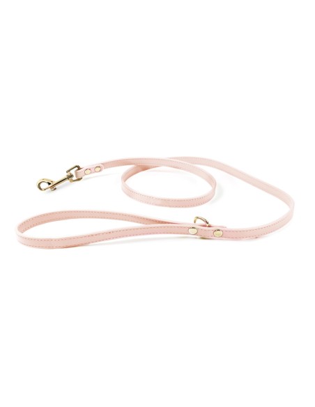 Synthetic Leather Dog Leash - Record