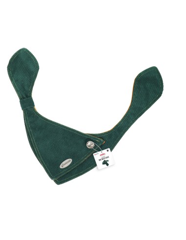 Heritage pet bandana - Record