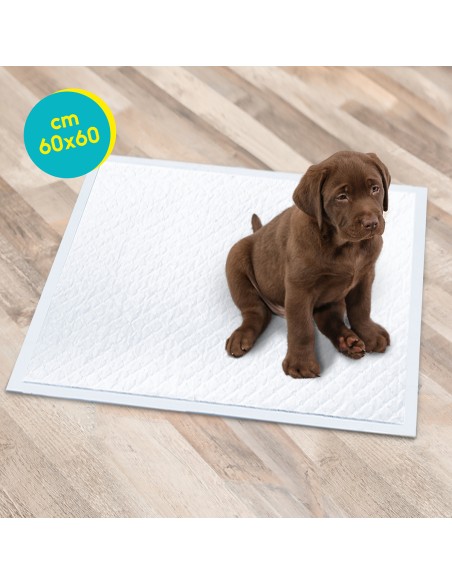 Tapiss puppy pads 60 x 60 cm - Record