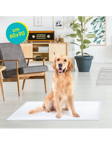Tapiss puppy pads 60 x 90 cm - Record