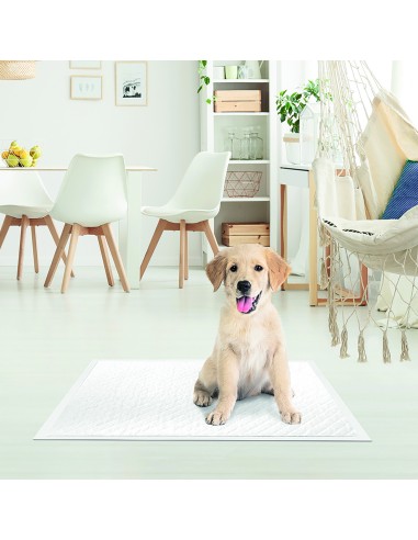 Assorbipiù puppy pads 40 x 60 cm - Record