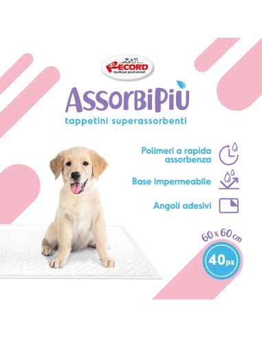 Assorbipiù puppy pads 60 x 60 cm - Record