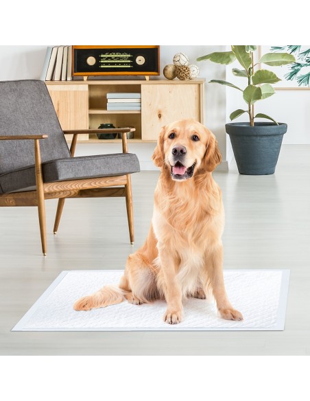 Assorbipiù puppy pads 60 x 90 cm - Record