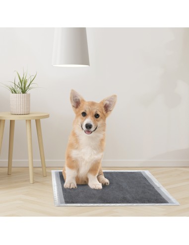 Assorbipiù puppy pads 60 x 60 cm with activated charcoal - Record