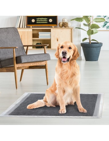 Assorbipiù puppy pads 60 x 90 cm with activated charcoal - Record
