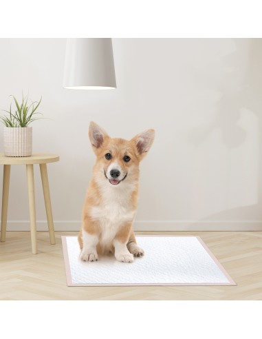 Assorbipiù puppy pads 60 x 60 cm Fresh Fruits - Record