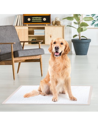 Assorbipiù puppy pads 60 x 90 cm Fresh Fruits - Record