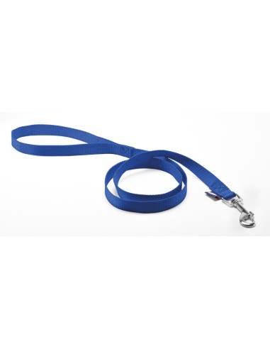 Basic nylon dog leash - Record