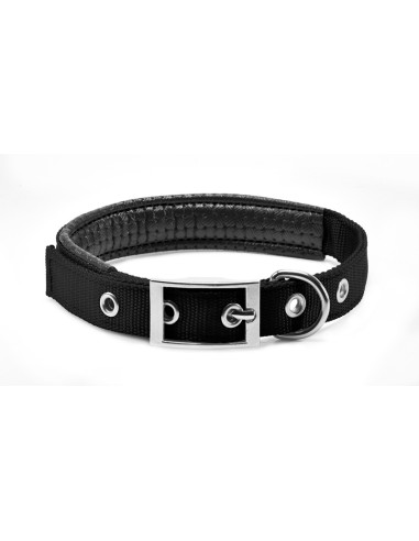 Nylon and PVC dog collar - Record