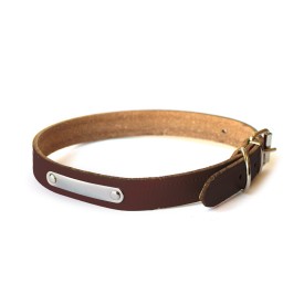 Leather dog collar with tag - Record
