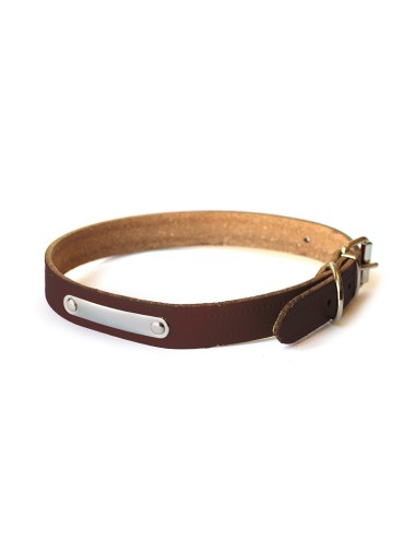 Leather dog collar with tag - Record