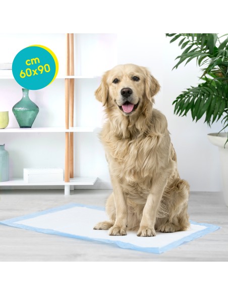 Tapiss puppy pads 60 x 90 cm - Record