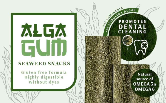 Dispenser with waste bag